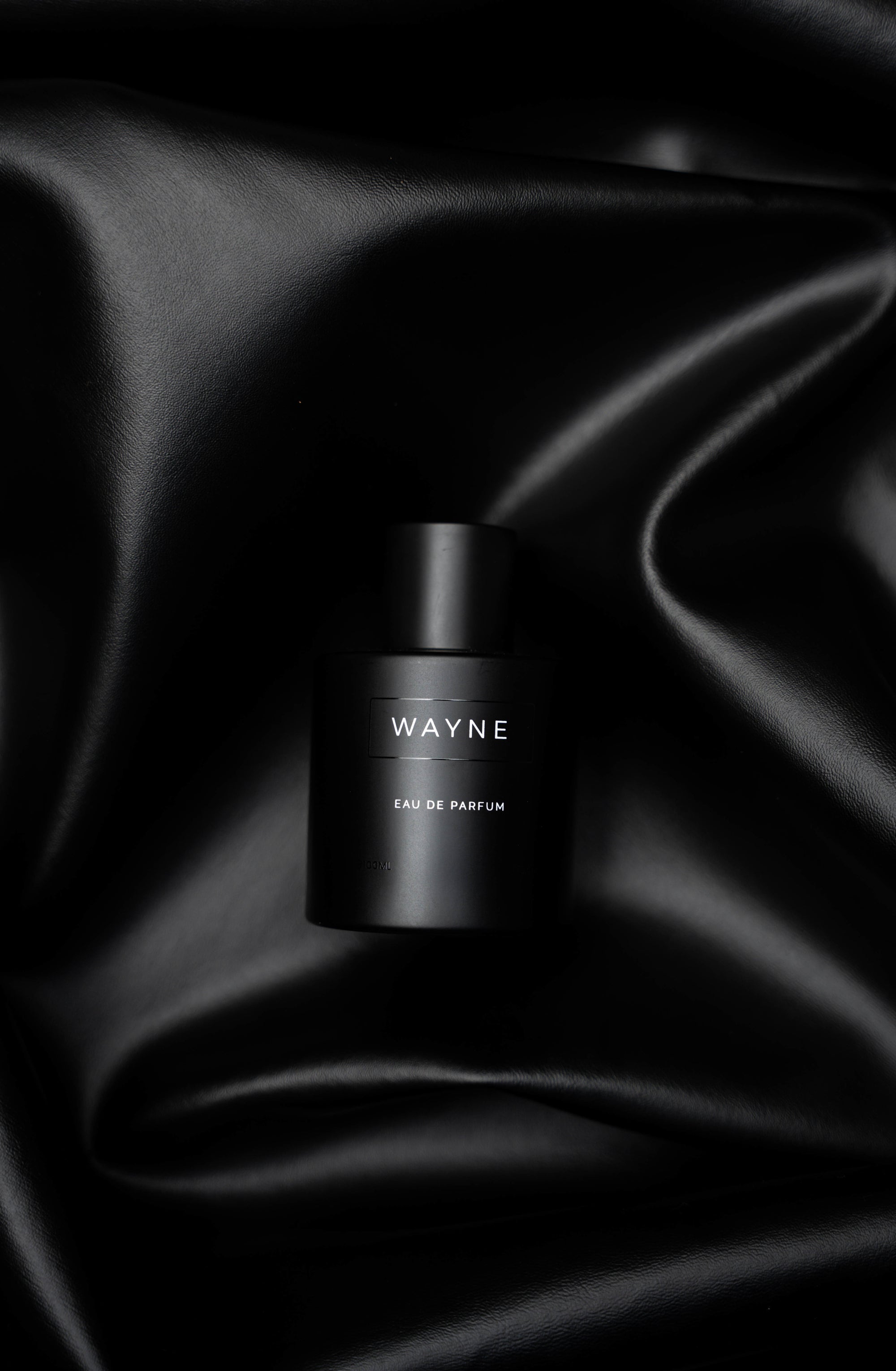 Wayne's iconic presentation showing elegance and innovation